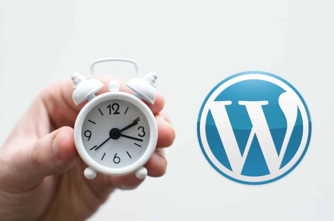 WordPress cron not working