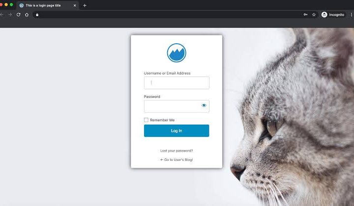 How to Set Up a Secure WordPress Login Page Without Hurting UX