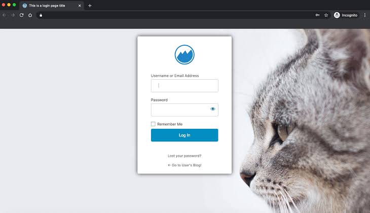 How to Set Up a Secure WordPress Login Page Without Hurting UX