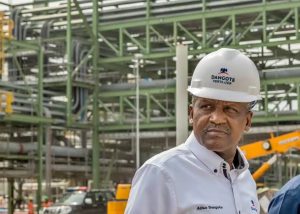 Dangote Refinery IPO Risk Assessment: Pros, Cons & How to Decide dangote 3