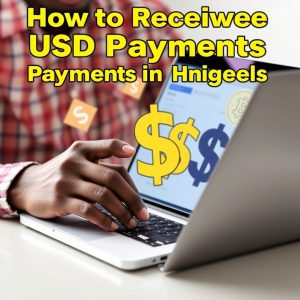 How to Receive USD Payments in Nigeria as a Freelancer receive USD payments in Nigeria